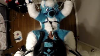 Subby Husky Murrsuiter 被钉住