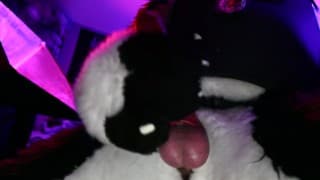 Police Dog Cumshot