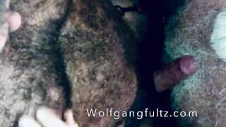 毛茸茸的雪茄肌肉熊 Wolfgangfultz 无鞍银爸爸。