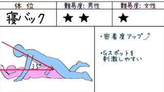 初学者性爱姿势手册