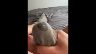 在我脏兮兮的汗湿袜子里手淫