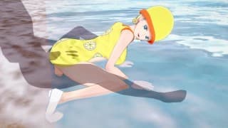 【COURIER MIKITA MISS VALENTINE】【HENTAI 3D】【ONE PIECE】