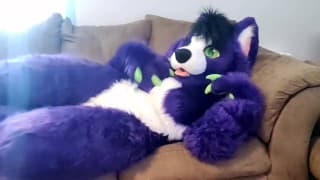 A Little Alone Time - Solo Fursuit 抚摸和揉搓 - Solo Female - 低音量