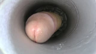 Fleshlight 内部视图