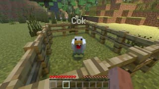 在 Minecraft 15： Cute Cock 中被 A 操