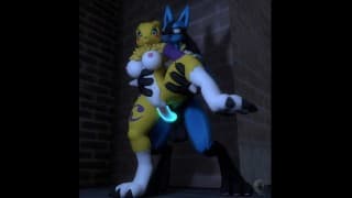 lucario x renamon