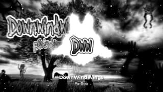 DownWindWings - 前霸王龙