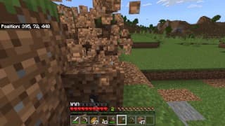 如何玩 Minecraft 和挖洞