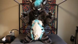 Fursuiter 暨使用 venus 2000