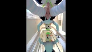 Small Femboy 被 Big Dick Fursuiter 繁殖两次