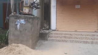 India, Puttaparthi, monkeys.