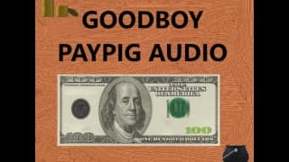 Good Boy Paypig 音频