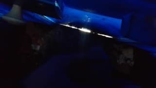 Eri ushlab oldi zapal