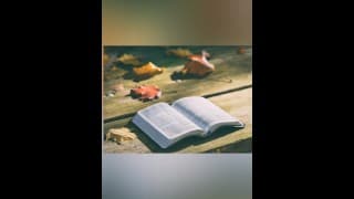 创世记 42-45 KJV（全文阅读视频 #9）