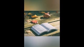 出埃及记 17-22 KJV（全文通读视频 #14）