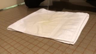 Pee on a towel