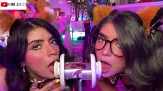 Duo Cats 分层双耳舔耳朵喵喵 ARA ARA - CorneliustheCat ASMR