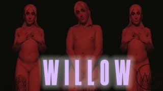 TS WILLOW - 先睹为快 PMV