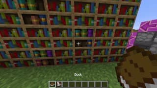 如何在 Minecraft 中制作一个隐藏的书自我门来隐藏您的无尽杂志