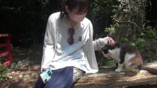 Off-shot 5 到猫岛 ~ 非色情，对于那些想了解 Piku-nyan 的人♡