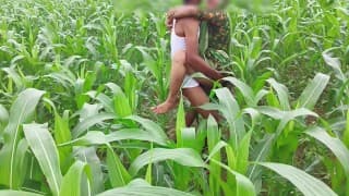 Bhabhi ko Devar ka kala mota Lund aaya pasand makai Ke khet me bhabhi ki chudai outdoor hindi audio