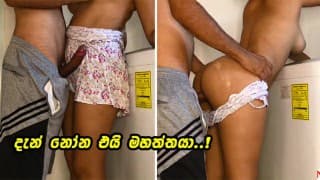 අනේ දැන් නෝන එයි මහත්තයෝ - Hot Sri Lanknan maid fucked before wife came home