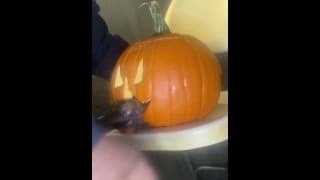 Pumpkin fuck