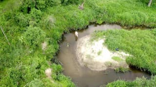 I walk nude in a small river, then play with myself, suddenly I see a drone