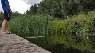 Guy pissing from a jetty