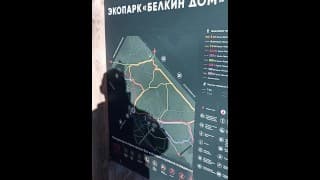 Прогулка в парке закончилась миньетом