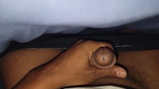 Put your head under the blanket and suck my BBC