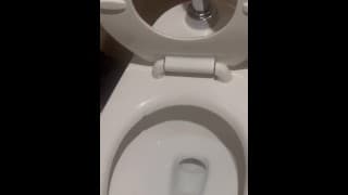 Desperate Bar Pee - Dane Coxx