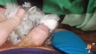 灰太狼的乐趣