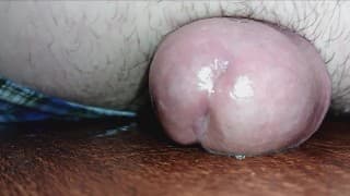 我的天啊！我很抱歉！我的老板刚刚在你的相机上涂了Cream吗？