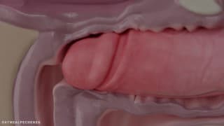 母老虎大师在大俱乐部被操