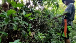 KANTUTAN Vlog muna gawa masisilungan para makapag Kantutan