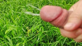 在过去的 365 天里，我没有做爱，但每天都在忍受色情内容